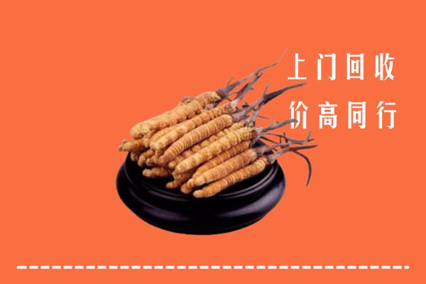 高价求购：建昌县回收散虫草